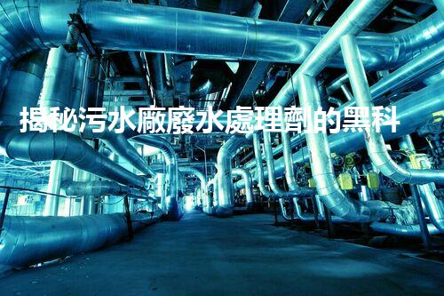 揭秘污水廠廢水處理劑的黑科技，未來凈化之路？